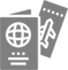 Visa Medical Services